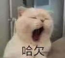 图片表情