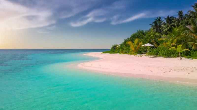 beach-coast-coconut-trees-221471-via-sitapix-com.jpeg