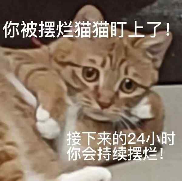 图片表情