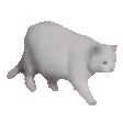 B45983C04BA9B7A5CCD8845D4D4E6485-1d92d97c.gif