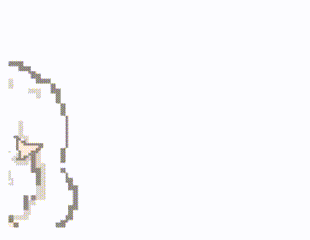 xysheep