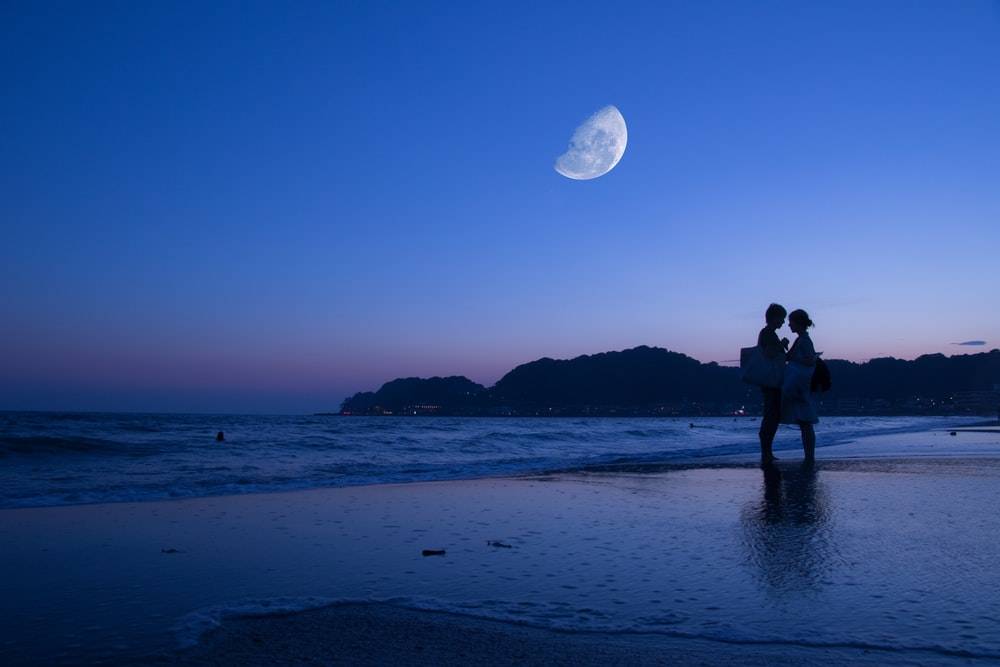 silhouette photo of coupe on seashore