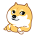 doge